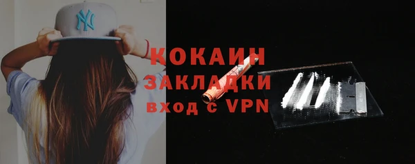 дживик Горняк