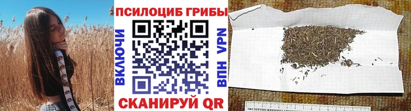 Купить закладки  Бугуруслан  Галлюциногенные грибы прущие грибы 